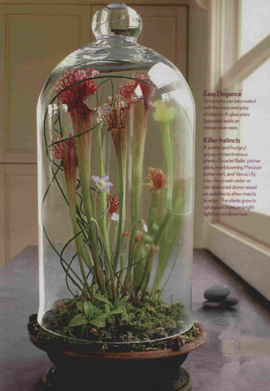 Collection of Throwback: Terrariums & Gardening Tips from 90+ Years of Better Homes & Gardens Magazine