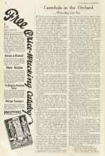 Better Homes & Gardens July 1922 Magazine Article: Cannibals in the Orchard