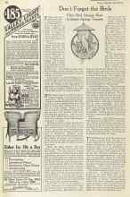 Better Homes & Gardens July 1922 Magazine Article: Don't Forget the Birds