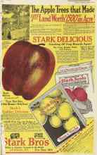 Better Homes & Gardens July 1922 Magazine Article: Page 52