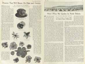 Better Homes & Gardens July 1922 Magazine Article: Page 12