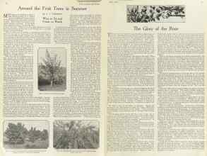 Better Homes & Gardens July 1922 Magazine Article: Page 14
