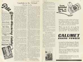 Better Homes & Gardens July 1922 Magazine Article: Page 24