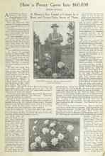 Better Homes & Gardens August 1922 Magazine Article: How a Peony Grew Into $60,000