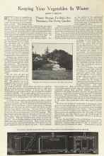 Better Homes & Gardens August 1922 Magazine Article: Keeping Your Vegetables In Winter