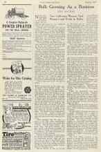 Better Homes & Gardens August 1922 Magazine Article: Bulb Growing As a Business