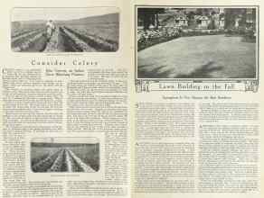 Better Homes & Gardens August 1922 Magazine Article: Page 12