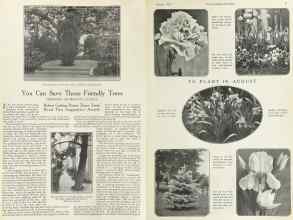 Better Homes & Gardens August 1922 Magazine Article: Page 16