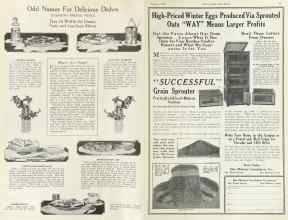 Better Homes & Gardens August 1922 Magazine Article: Page 46