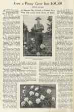 Better Homes & Gardens September 1922 Magazine Article: How a Peony Grew Into $60,000