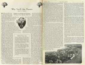 Better Homes & Gardens September 1922 Magazine Article: Why You'll Like Peonies