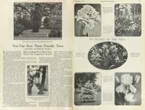 Better Homes & Gardens September 1922 Magazine Article: Page 14