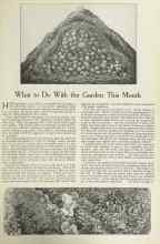 Better Homes & Gardens October 1922 Magazine Article: What to Do With the Garden This Month