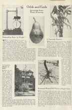 Better Homes & Gardens October 1922 Magazine Article: Odds and Ends