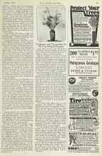Better Homes & Gardens October 1922 Magazine Article: Gathering and Decorating the All-Year-Round Bouquet