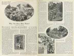 Better Homes & Gardens October 1922 Magazine Article: Why Not Have More Roses?