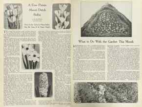 Better Homes & Gardens October 1922 Magazine Article: Page 8
