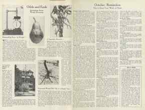 Better Homes & Gardens October 1922 Magazine Article: Page 14