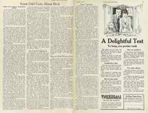 Better Homes & Gardens October 1922 Magazine Article: Page 20