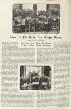 Better Homes & Gardens November 1922 Magazine Article: How To Pot Bulbs For Winter Bloom