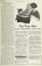 Better Homes & Gardens November 1922 Magazine Article: The Window Garden