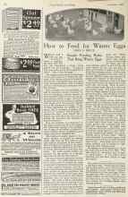 Better Homes & Gardens November 1922 Magazine Article: How to Feed for Winter Eggs