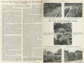 Better Homes & Gardens November 1922 Magazine Article: How to Have Green Vegetables the Year Around
