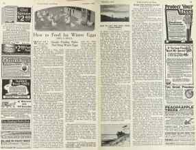 Better Homes & Gardens November 1922 Magazine Article: Page 32