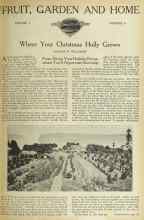Better Homes & Gardens December 1922 Magazine Article: Where Your Christmas Holly Grows