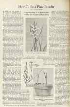 Better Homes & Gardens December 1922 Magazine Article: How To Be a Plant Breeder