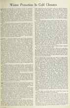 Better Homes & Gardens December 1922 Magazine Article: Winter Protection In Cold Climates