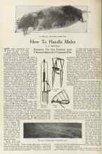 Better Homes & Gardens December 1922 Magazine Article: How To Handle Moles