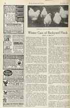 Better Homes & Gardens December 1922 Magazine Article: Winter Care of Backyard Flock