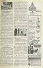 Better Homes & Gardens December 1922 Magazine Article: The Wild Strawberry