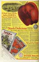 Better Homes & Gardens December 1922 Magazine Article: Page 44