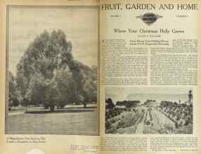 Better Homes & Gardens December 1922 Magazine Article: Page 4