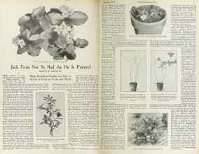 Better Homes & Gardens December 1922 Magazine Article: Jack Frost Not So Bad As He Is Painted