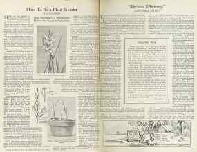 Better Homes & Gardens December 1922 Magazine Article: Page 10