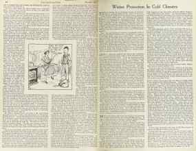 Better Homes & Gardens December 1922 Magazine Article: Page 12