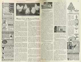 Better Homes & Gardens December 1922 Magazine Article: Page 32