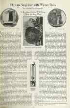 Better Homes & Gardens January 1923 Magazine Article: How to Neighbor with Winter Birds