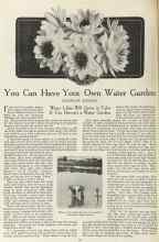 Better Homes & Gardens January 1923 Magazine Article: You Can Have Your Own Water Garden