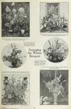 Better Homes & Gardens January 1923 Magazine Article: Arranging the Winter Bouquet