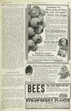 Better Homes & Gardens January 1923 Magazine Article: Petals Damp Off