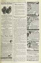 Better Homes & Gardens January 1923 Magazine Article: What Shall I Do?