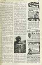 Better Homes & Gardens January 1923 Magazine Article: Unique Housetop Bouquet