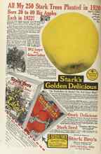 Better Homes & Gardens January 1923 Magazine Article: Page 52