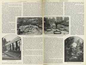 Better Homes & Gardens January 1923 Magazine Article: Page 6