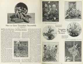 Better Homes & Gardens January 1923 Magazine Article: Page 20