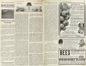 Better Homes & Gardens January 1923 Magazine Article: Page 28
